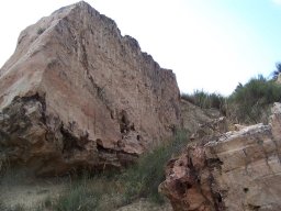 Cerro de la Almagra 2004